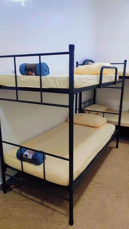 Hotel International Hoste 2*